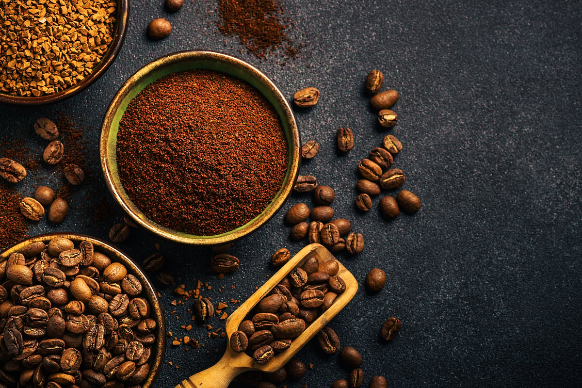 A visit to Chikmagalur would be incomplete without exploring the Coffee Museum