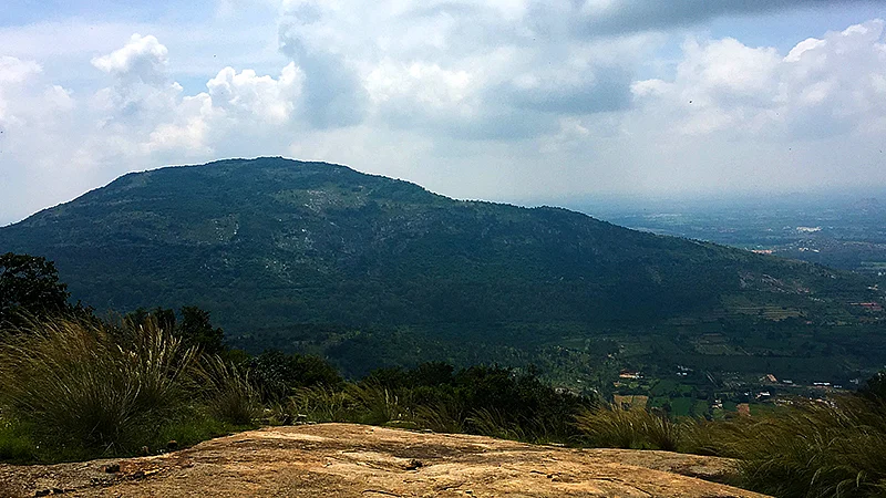 Views of the Nandi Hills