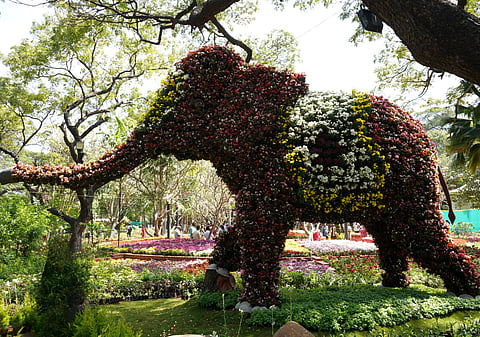 The annual Ooty Summer Festival is celebrated in May