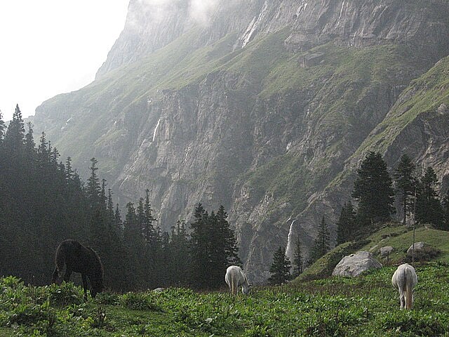 A glimpse of Parvati Valley