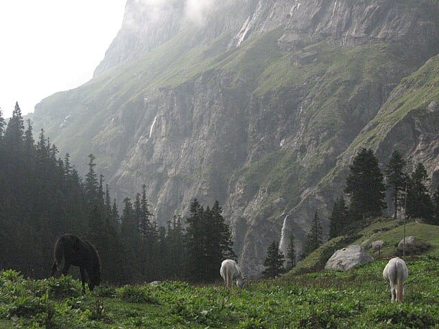 A glimpse of Parvati Valley