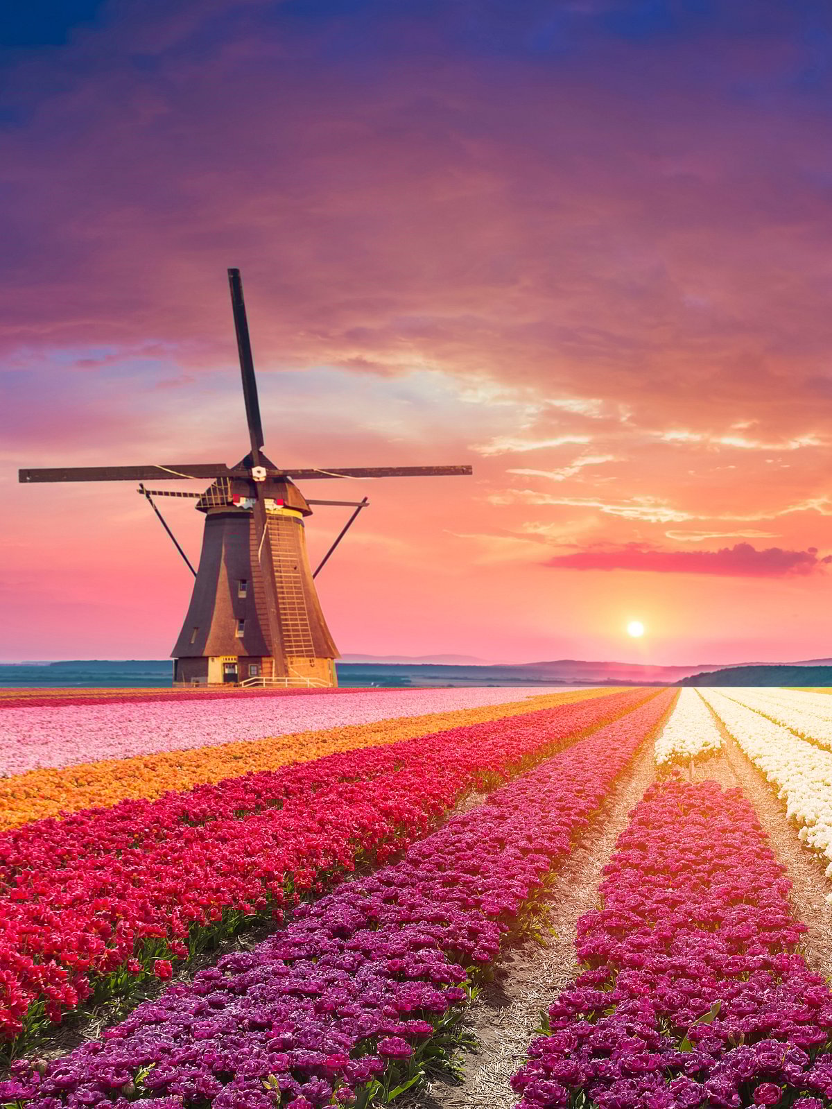 10 Most Beautiful Places In The Netherlands