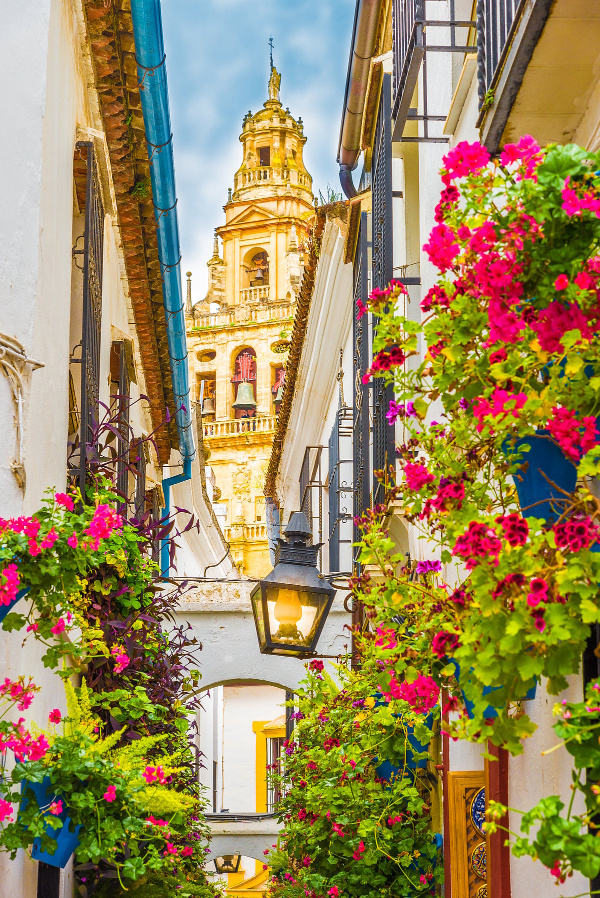 Shutterstock : Calleja de las Flores, Cordoba, Spain