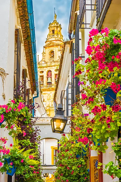 Shutterstock : Calleja de las Flores, Cordoba, Spain