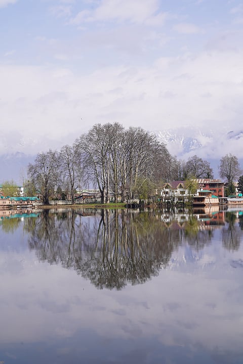 Reflection of trees along the Nigeen Lake