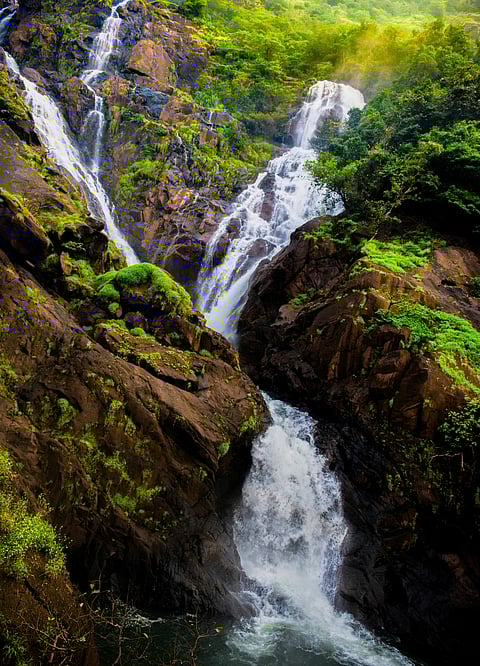 A view of the Dudhsagar Waterfalls during monsoon