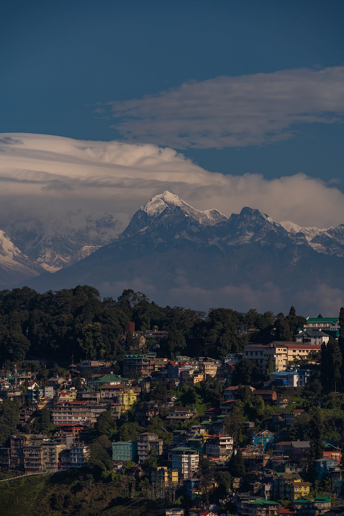 The view from Tiger Hill 
