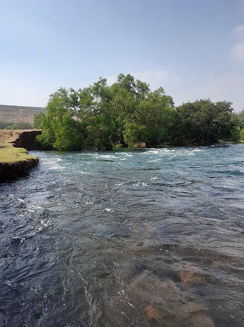 Chandoli National Park
