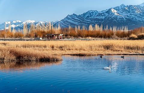 Beautiful Lake in front of Shey Palace in Ladakh
