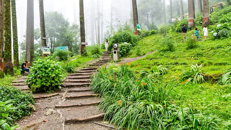 Dhanaulti Eco Park