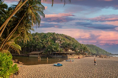 Shutterstock : There is more to Goa than just its beautiful beaches