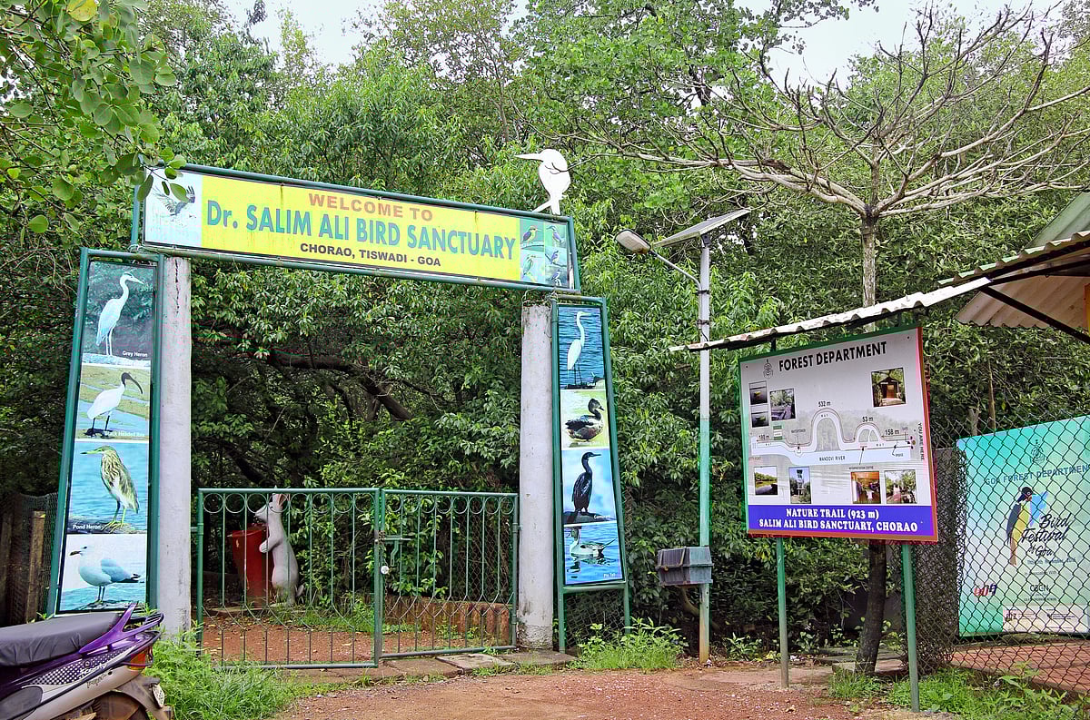 Salim Ali Bird Sanctuary is a haven for birdwatching enthusiasts