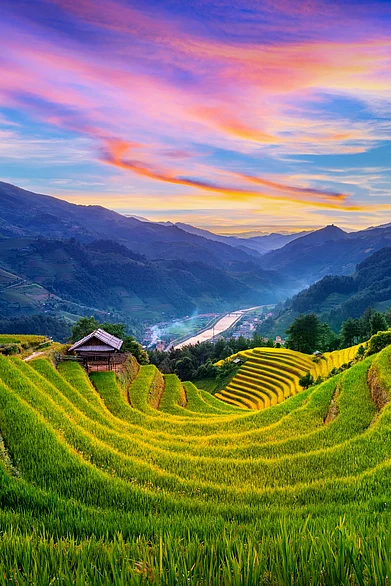 Shutterstock : Beautiful rice terraces at sunset in Mu Cang Chai, Vietnam