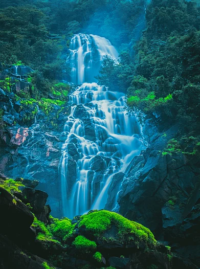 Shutterstock : A breathtaking view of Dudhsagar Waterfall during the rainy season