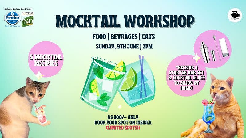 A mocktail workshop with cats is a delightful way to cool down this weekend