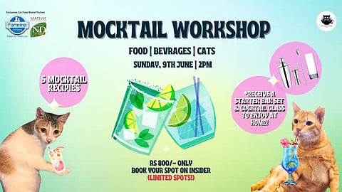 A mocktail workshop with cats is a delightful way to cool down this weekend