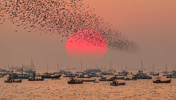 muratart/Shutterstock.com : Fishing boats in the Arabian Sea during sunrise in Mumbai