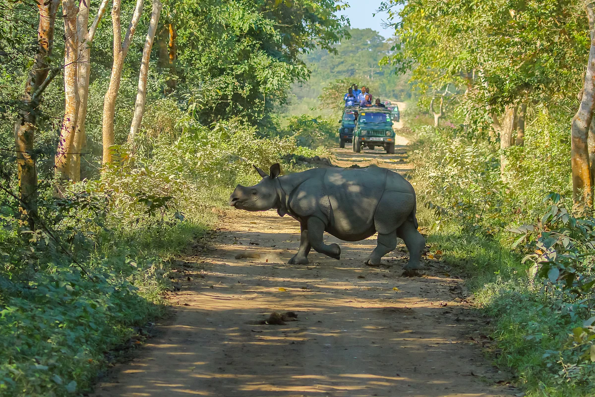 SandeepBisht/Shutterstock