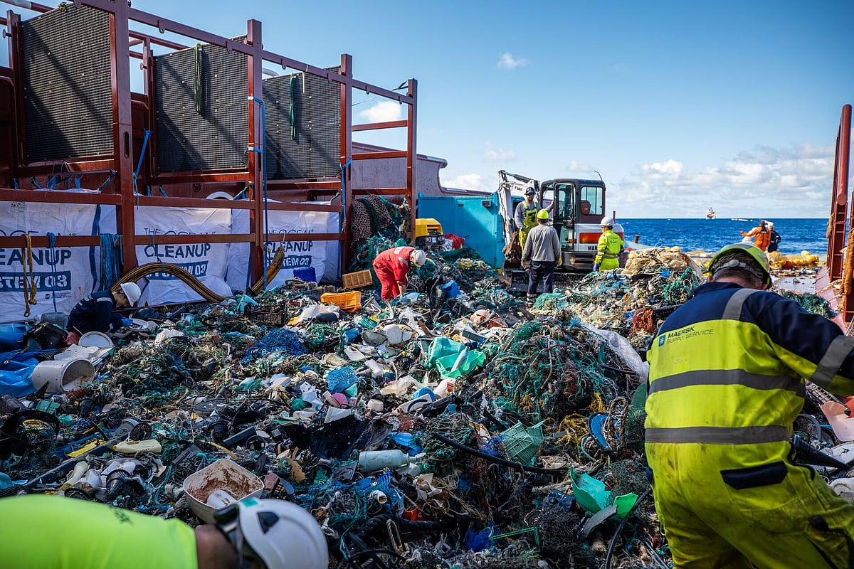 Debris collected from the sea