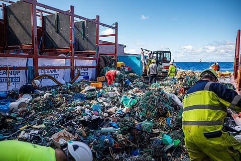 Debris collected from the sea