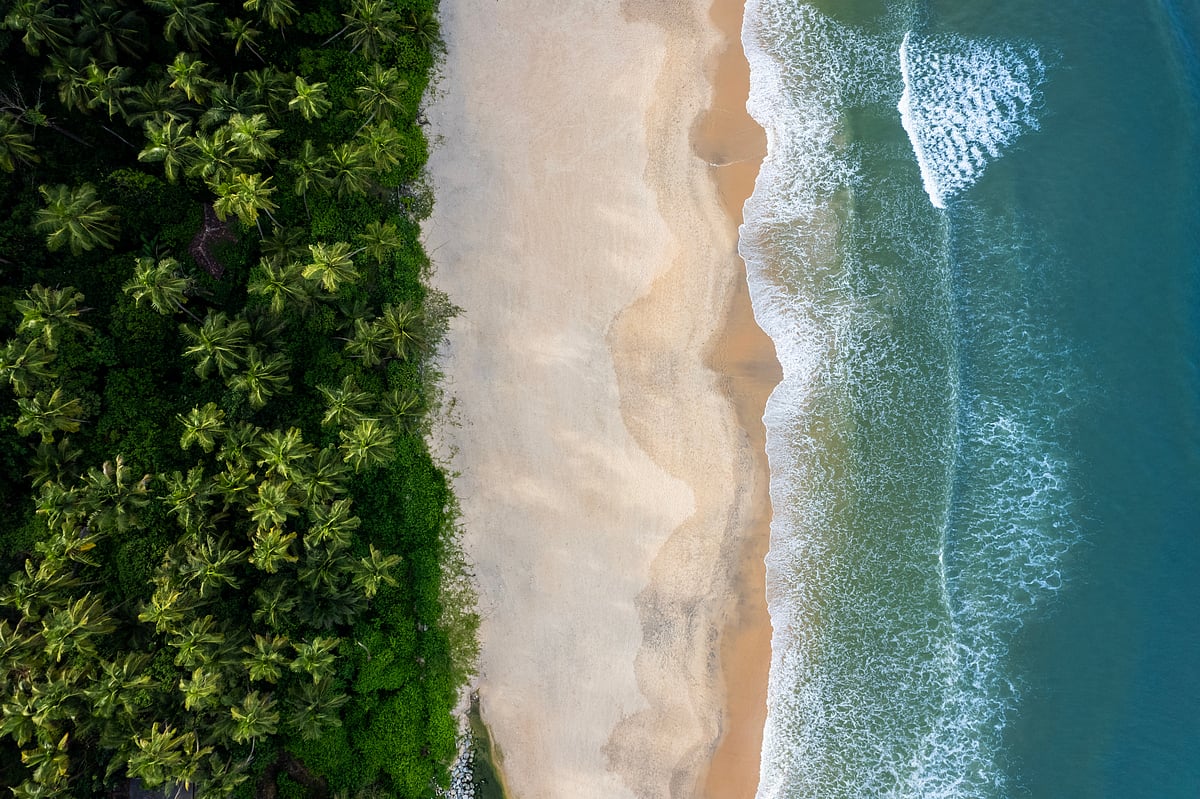 Aerial view of a beach in Kerala