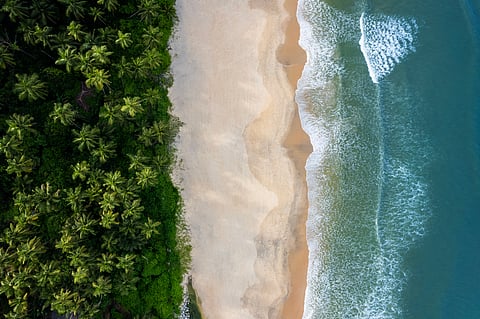 Aerial view of a beach in Kerala