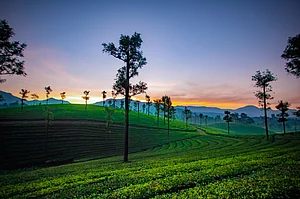 KARTHIKEYAN. M : Valparai
