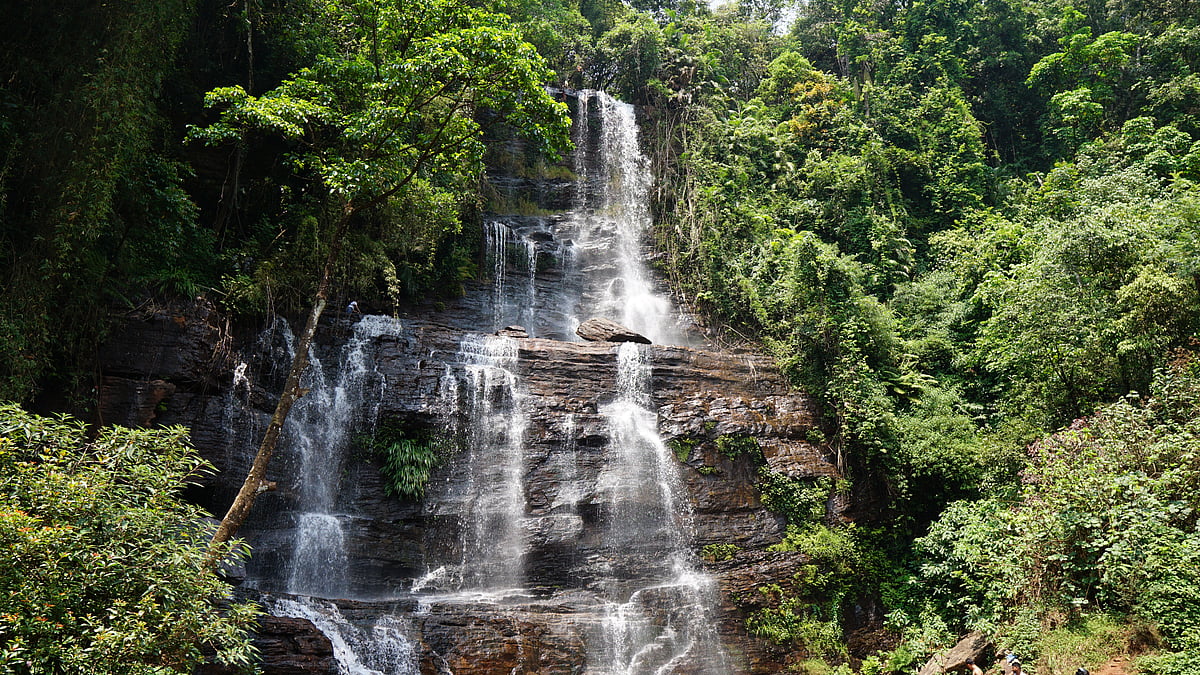 A view of  Jhari Falls