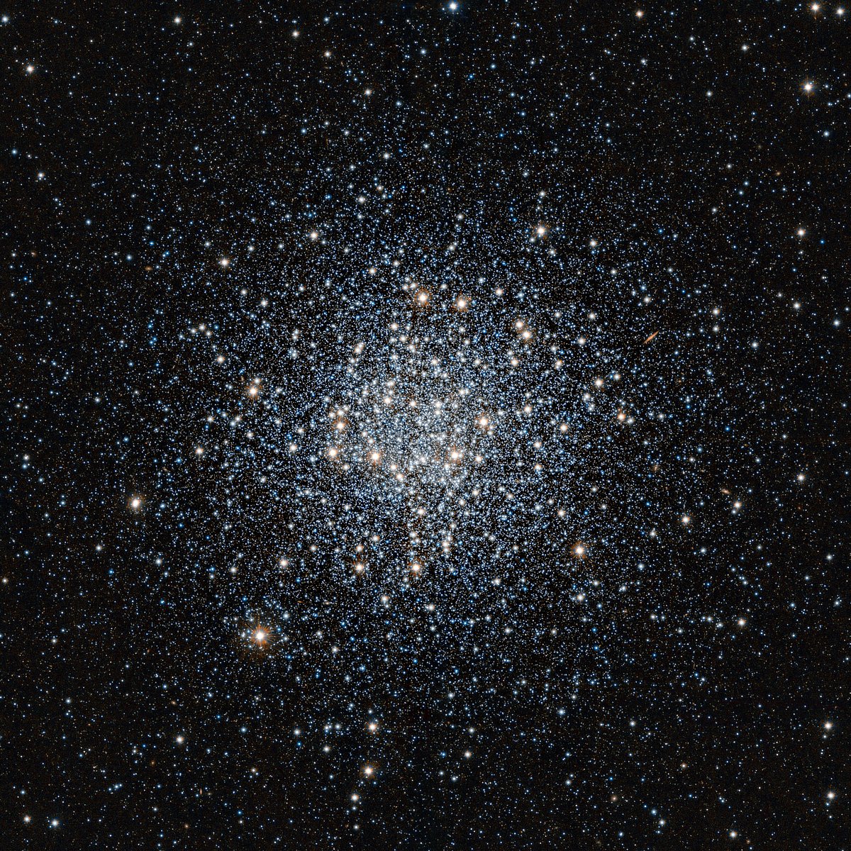 A view of the global cluster, Messier 55