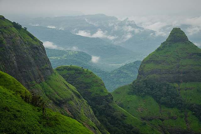 The Lions Point lookout