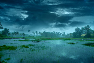 Milju Varghese/Shutterstock : Monsoon clouds in Kerala