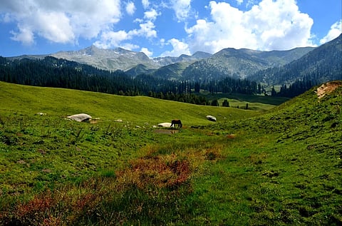 The Seoj Dhar
