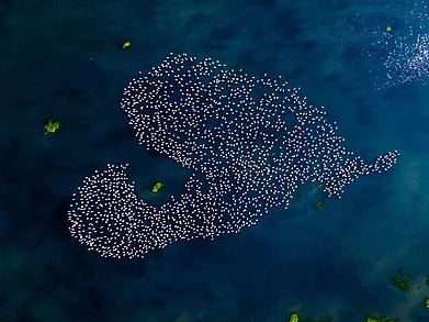 Tamil Nadu Tourism : Serene Aerial View of Pulicat Lake