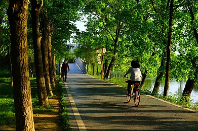 Pixabay : Bicycling leads to less traffic congestion and cleaner air