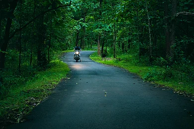 DiversePixels/Shutterstock : There are many hiking trails in the forests of Dandeli