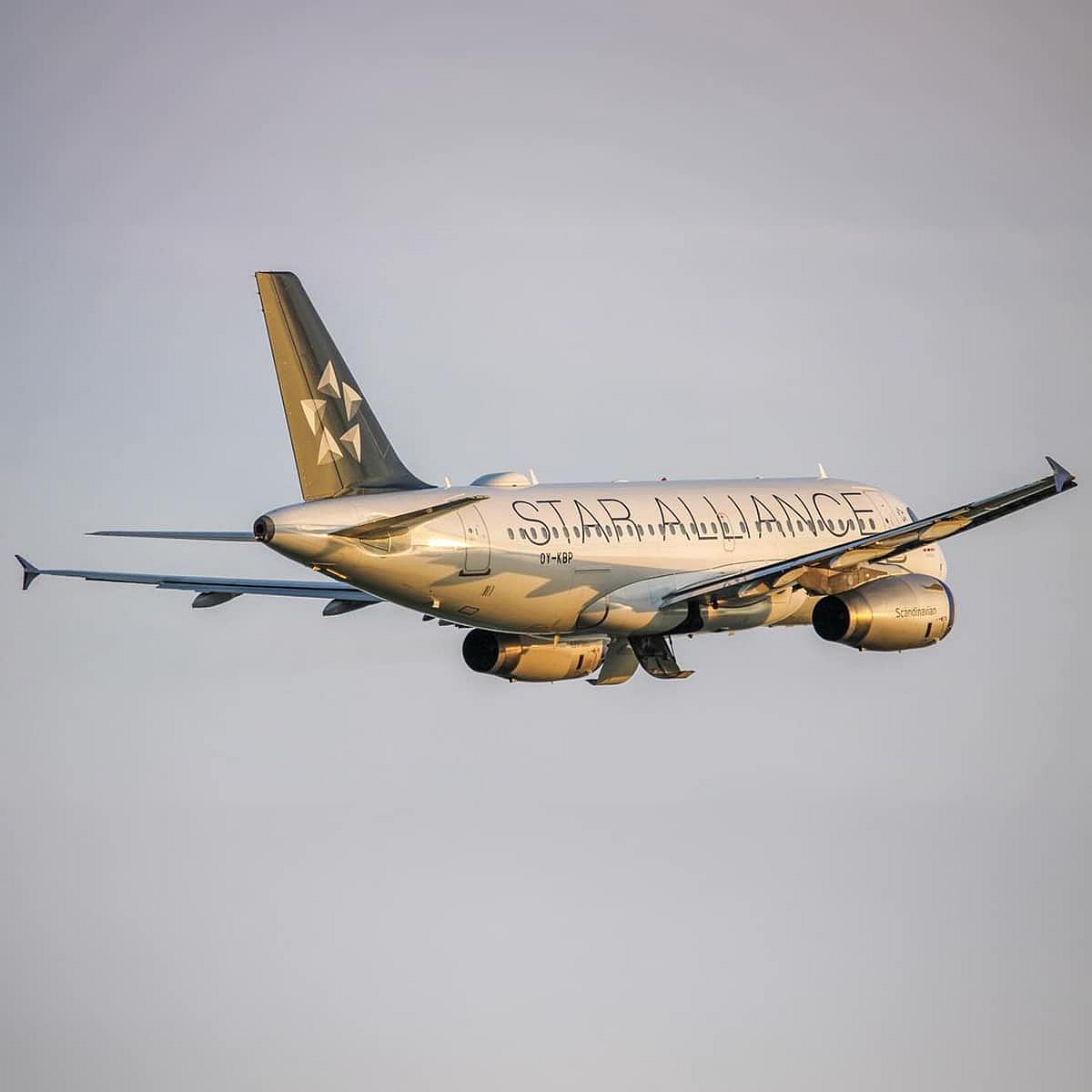 A member airline with Star Alliance branding
