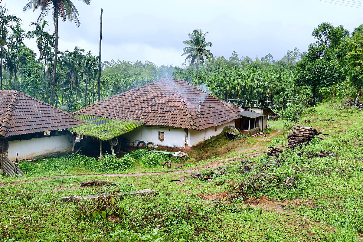 Agumbe, Karnataka