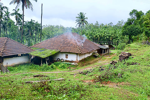 Agumbe, Karnataka