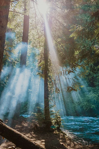 Unsplash : Inside the North Cascades National Park, Washington