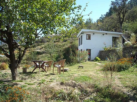 The garden at XRA Cottage