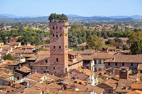 The Guinigi Tower of Lucca