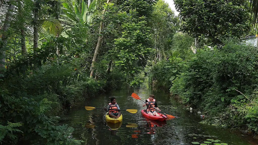 Kayaking in the sparkling waters of the Muvattupuzha River