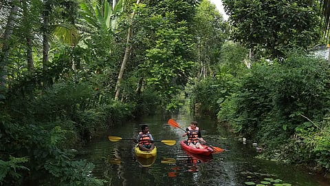 Kayaking in the sparkling waters of the Muvattupuzha River