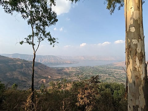 A view from Sydney Point