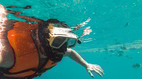 Snorkelling in the Phi Phi waters
