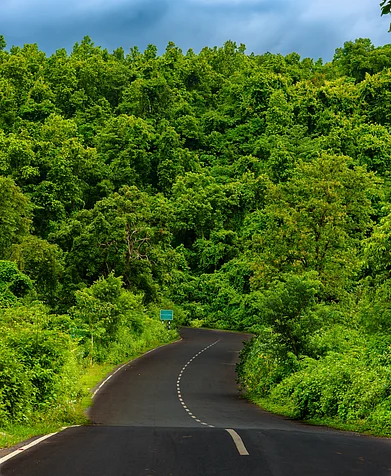 Shutterstock : A scenic road in India during the monsoon season