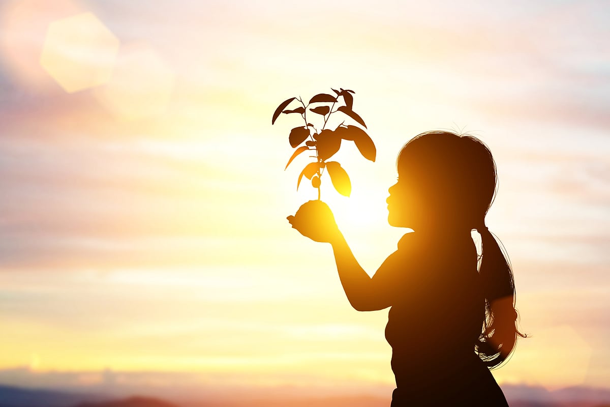 Shutterstock : There are several organisations in India that are working to preserve the environment