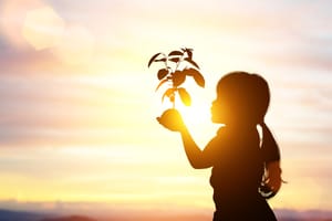 Shutterstock : There are several organisations in India that are working to preserve the environment