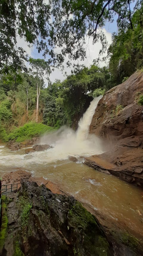 A view of the Soochipara Falls