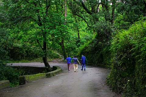 Take a break from the hectic city life in Lansdowne